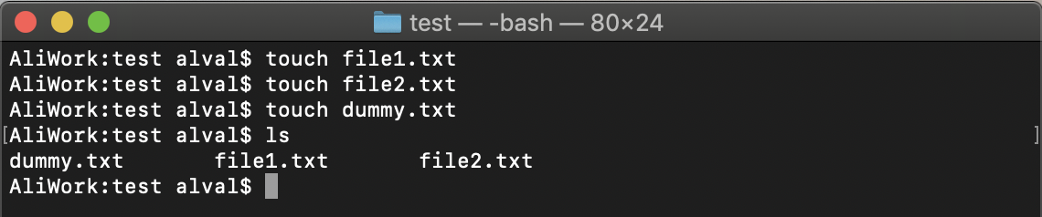 Terminal window after running the previous 4 commands.