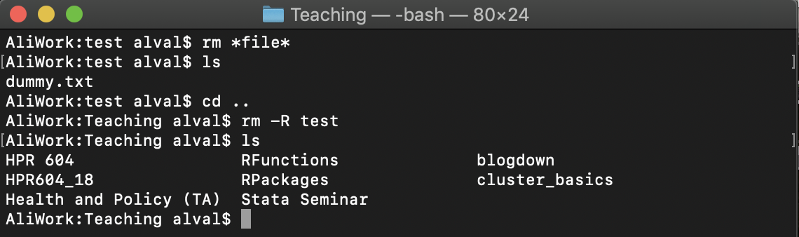Terminal window after running the previous 5 commands.